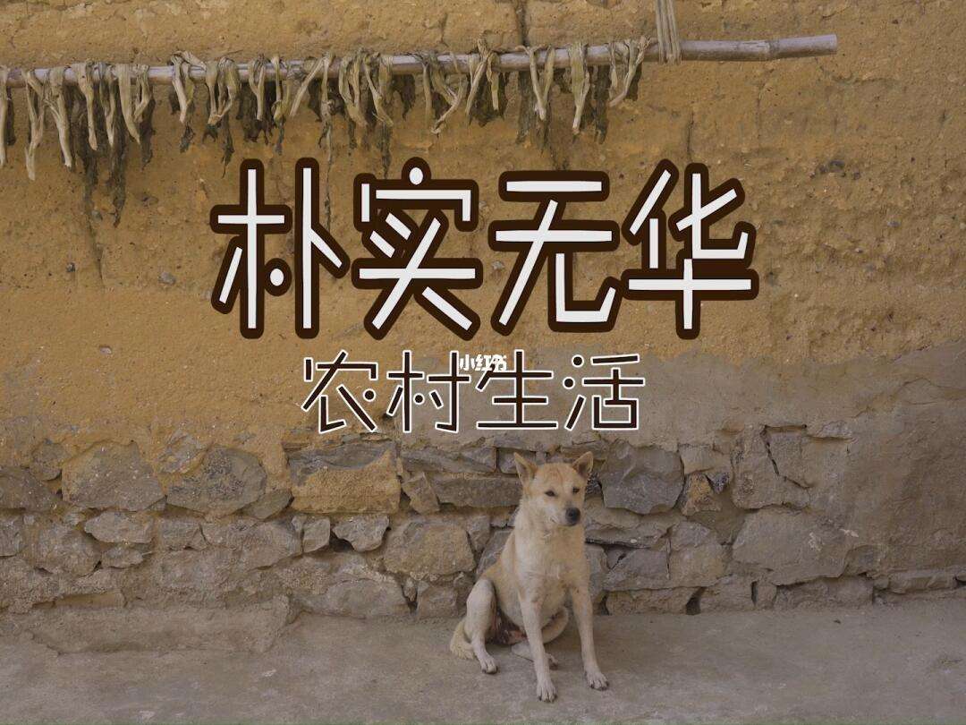 关于开销增加，多支球队申请财政支持以度过难关的信息