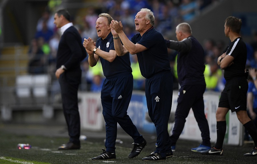 卡迪夫城队员集体支持球队保级战