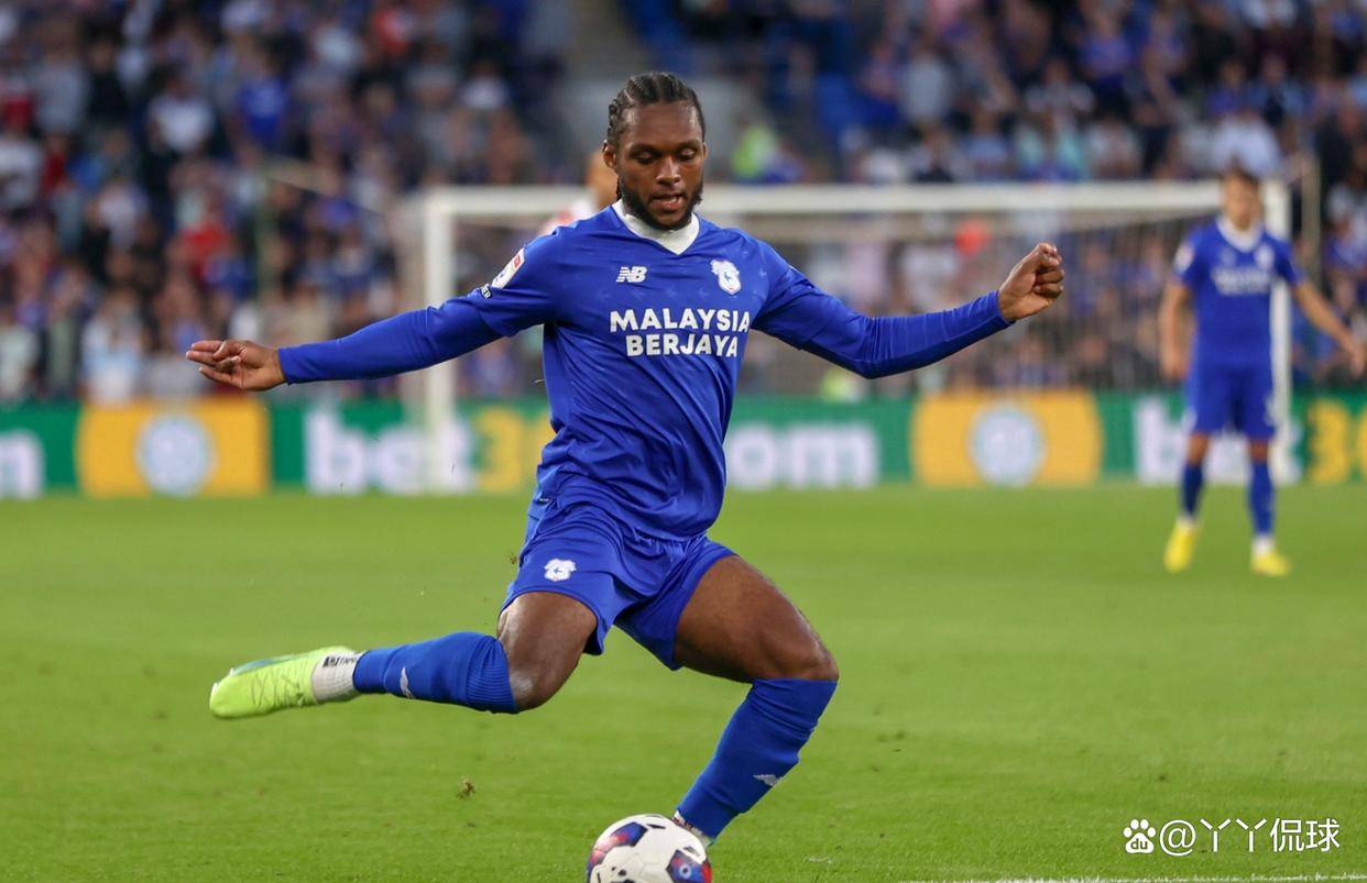 卡迪夫城队员集体支持球队保级战