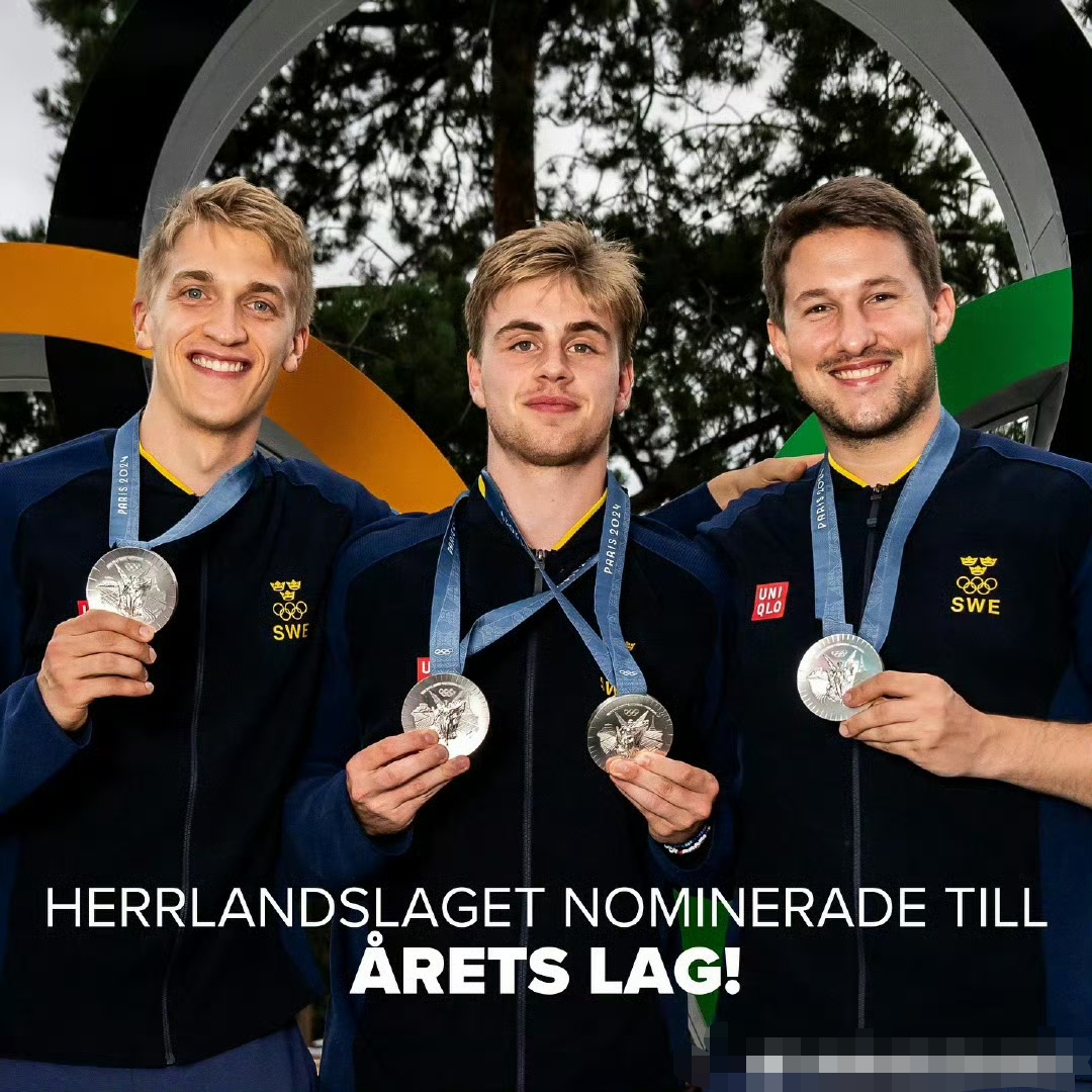 瑞典队实力难敌对手，晋级形势不容乐观的简单介绍